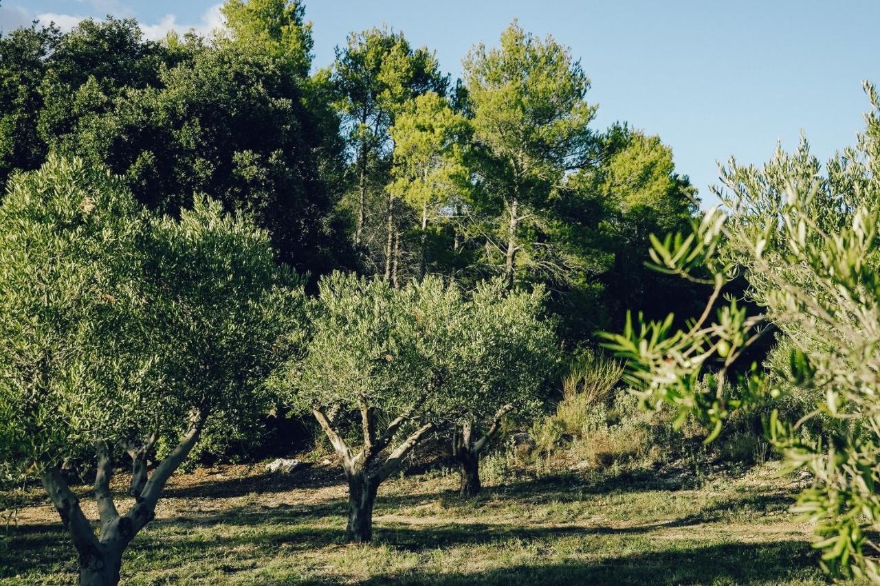Domaine Monte Verdi Flayosc Esterno foto