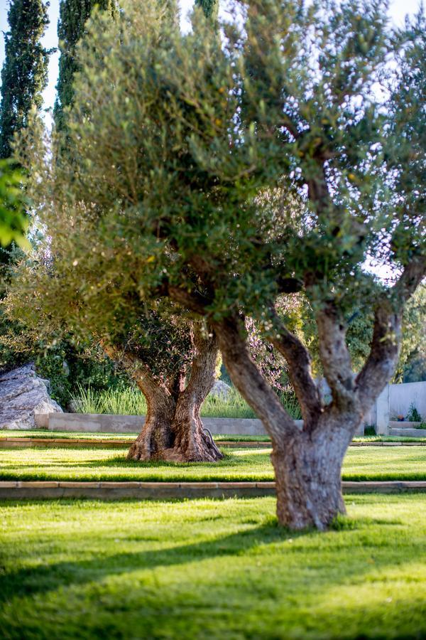 Domaine Monte Verdi Flayosc Esterno foto
